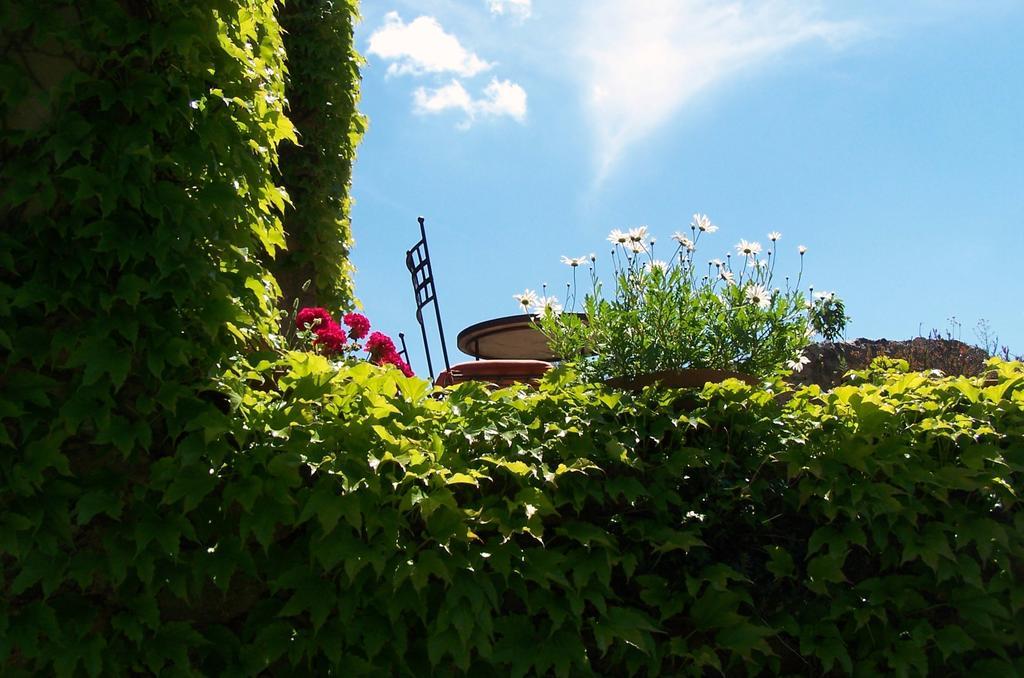 Honor Vell Hotel Bunyola Exterior photo